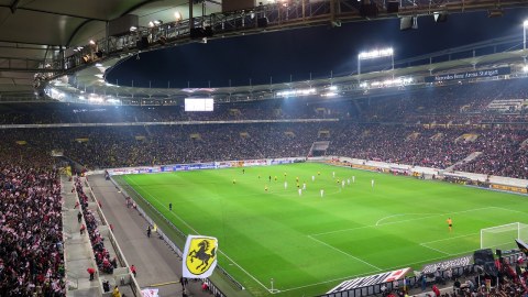 Image Not Found On Media Library