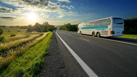 Image Not Found On Media Library